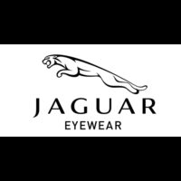 Jaguar logo